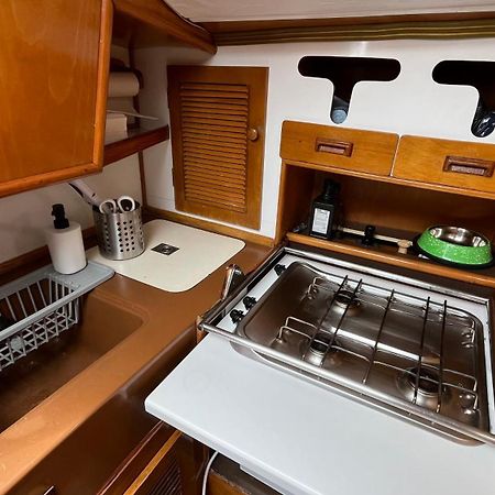 塞博河畔卡莱塔 Velero Puma 32酒店 外观 照片